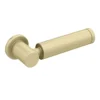 Arezzo Brushed Brass Modern Cistern Lever -Victorian Plumbing Shop azbbcl n l