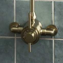 Arezzo Brushed Brass Round Exposed Dual Thermostatic Shower Valve -Victorian Plumbing Shop azsv4bbe l2