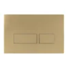 Crosswater MPRO Brushed Brass Dual Flush Plate